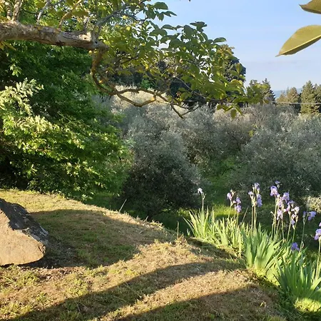 Il Sottolo 피렌체